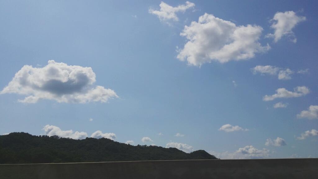 埋め込み画像への固定リンク