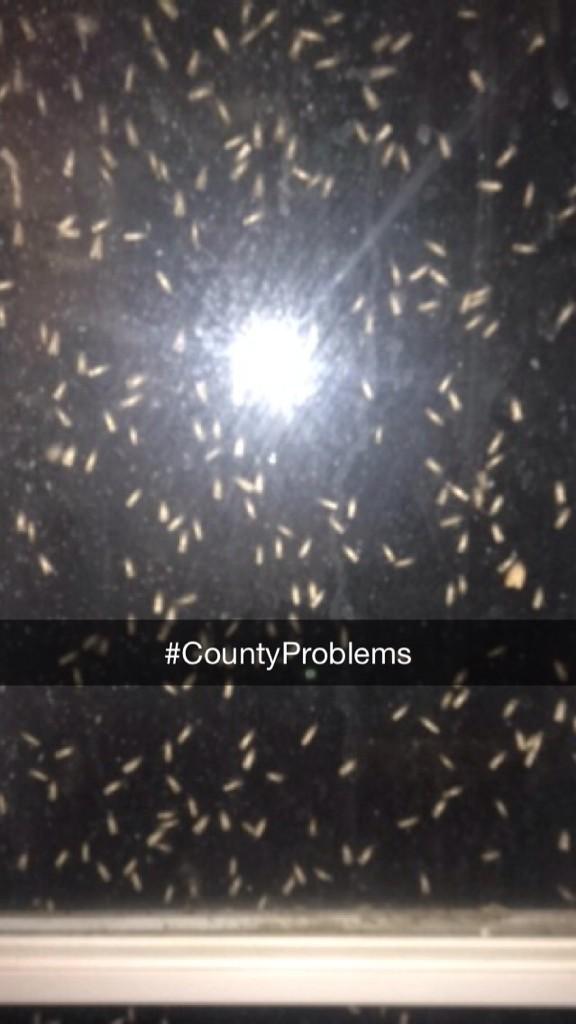 elsammy_15's tweet photo. Fucking Mosquitos 😡 #CountyProblems http://t.co/Y3d0MO01Rm