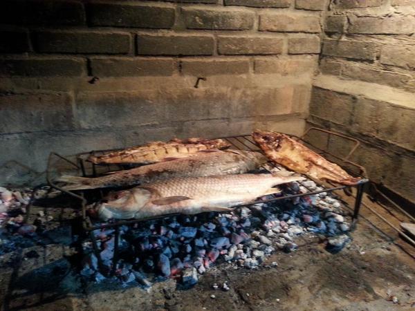 Salen bogas a la parrilla con Roman Silvito y seba #Amigos