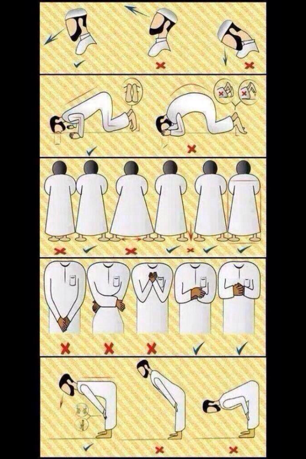 m3ly_shrahh's tweet photo. كيفيه الصلاه الصحيحه .. قد تجهلها او ممكن غيرك يجهله انشرها للأجر 🌹❤️
. http://t.co/BnJjtp5qvW