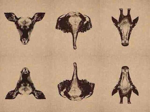 poeemzzz's tweet image. it’s all about perspective