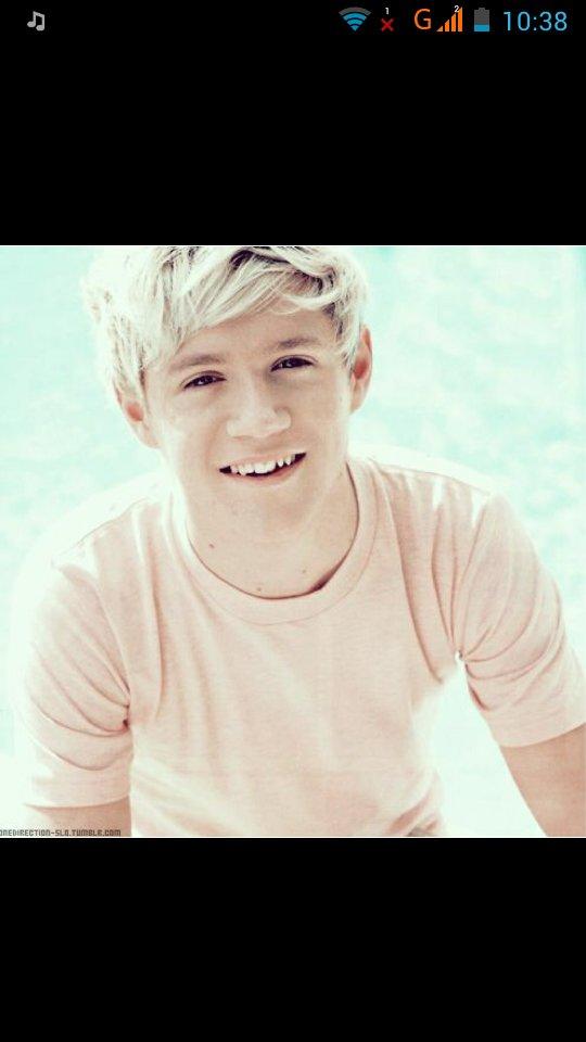 dairectionerboy's tweet image. Amarte es poco @NiallOfficial