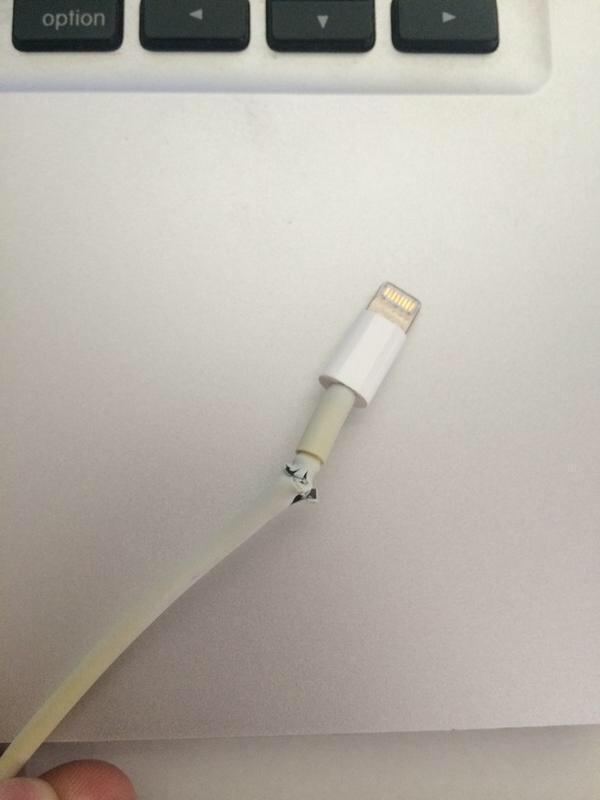 gosh😖 happened to mine like million times 😭"<a href="/funnyorfact/">Funny Or Fact</a> : Apple let's fix the real problem: ”