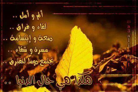 احمد الطائي (@ahshs52) on Twitter photo 