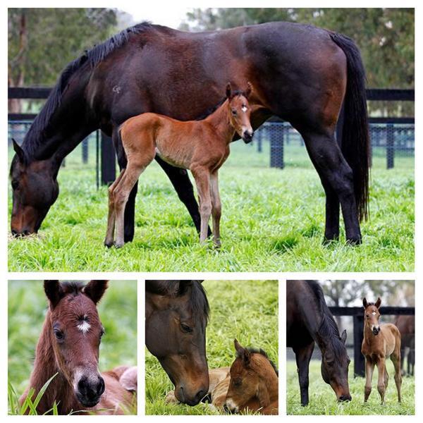 No need for words, the pictures say it all. Photos courtesy of Georgina Lomax Photography.