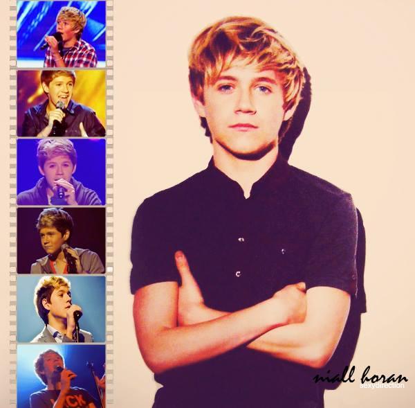 Happy birthday Niall Horan Im so proud you made it! I love you sunshine/moonlight/hero/baby 