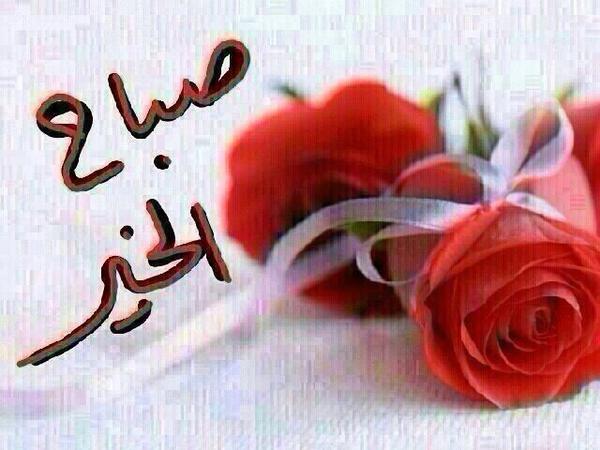 privateprocure's tweet photo. صباح الخير علي الديوثين والتحرريين القحبه والخنيث بس 😘 http://t.co/KLnjHV3Ve0