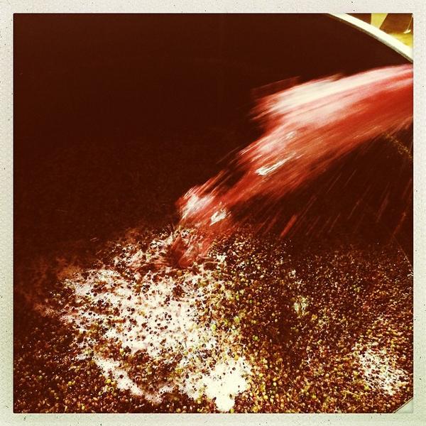 avignonesi's tweet photo. First #Merlot is fermenting. #Desiderio2014 #pumpingover #colourred #harvest14 #theCellarNeverSleeps http://t.co/4CSnVabO0s
