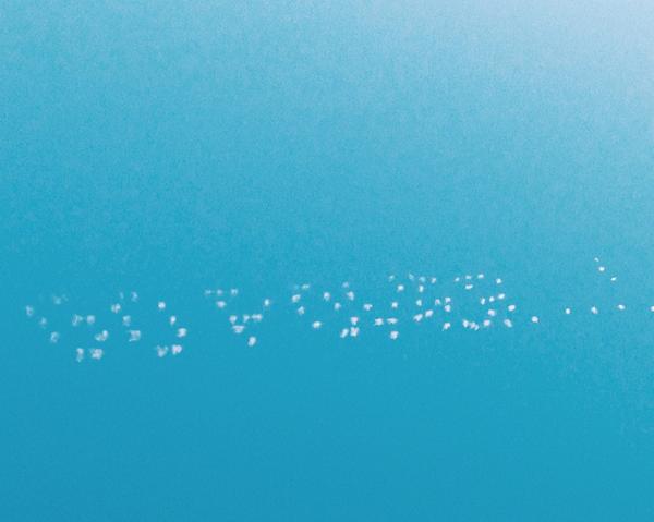 _mlkman's tweet image. Let's go Port Power #Adelaide #radelaide