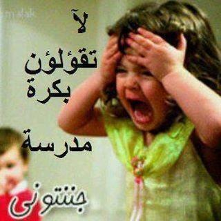 CoYoutube tweet picture