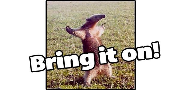 The store is ramping up ready for our freshers.... We say ..... <a href="/LukeMcCluskey1/">Luke McCluskey</a> @stockaroo89 <a href="/LloydEdwards/">Lloyd Edwards</a> <a href="/Nozzaldo/">Steve Newell</a>