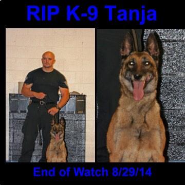 TexAlphaDogs tweet picture