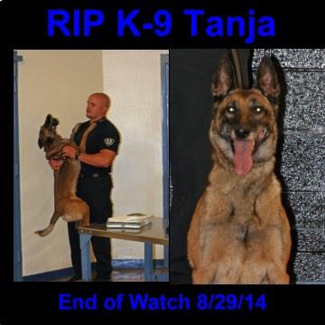 TexAlphaDogs tweet picture