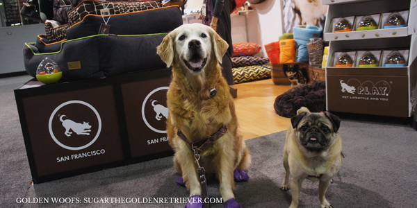 GoldenWoofs's tweet photo. Woofs 2 Momo at @petplaysf booth841 #totalpetexpo #TPE2014 http://t.co/EKChK77OqQ