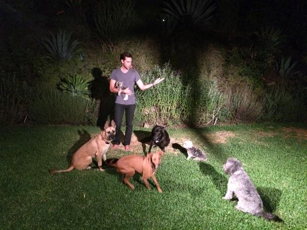SallyPressman's tweet photo. “@drewfuller: Hobbies include #dogwhispering Look at the total control I'm exuding #onpoint #idodogs http://t.co/byqsUMDVjA” Sophie!