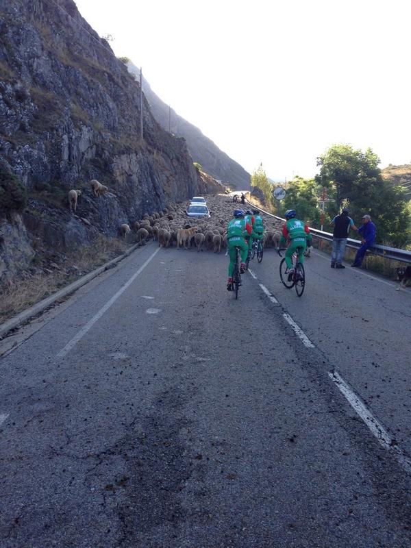 AzzedineLagab's tweet photo. Blocked in traffic this morning during training in north of #Ponferrada2014 http://t.co/f77UOEkuZD
