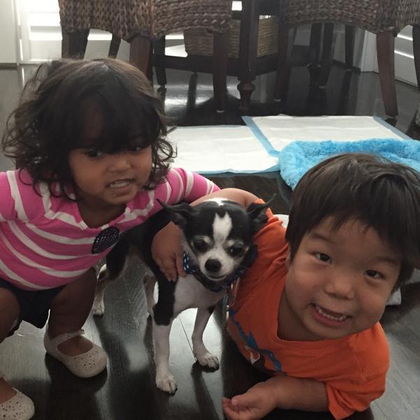 Rocky & Maggie's tweet media