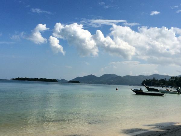 lucypoops88's tweet image. Sun sea and tannage #lifeshard #workedhardforthis