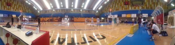 trevisobasket tweet media