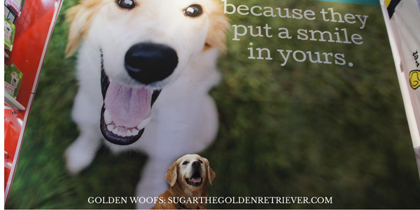 GoldenWoofs's tweet photo. :-) SMILE! visit @LookWhosHappy #totalpetexpo booth 1023 #TPE2014 http://t.co/ZM4XCrpcZn