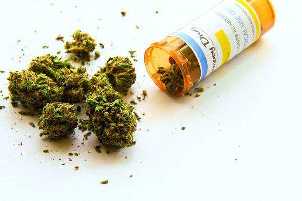 MaxwellCollins3's tweet image. Italy's Army grows Marijuana to make it affordable. Yes! It's legalized in #US. When'll #Nigeria leave Cow Tail alone