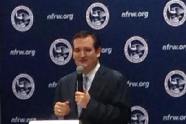 gwenecklund's tweet photo. Senator Ted Cruz, TX #nfrw #ifrw #fb http://t.co/dpZGT4HwRJ