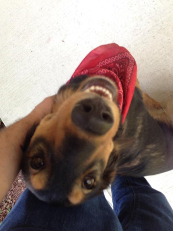 Dylan Goldberg tweet media