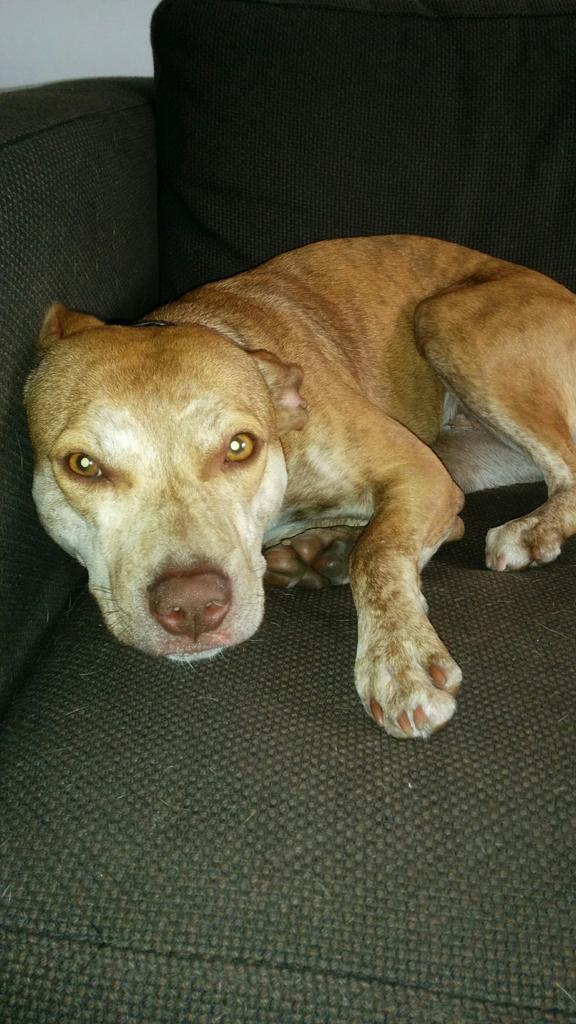 Peter Mengerink tweet media