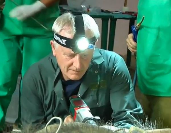 VIDEO: taladro eléctrico para tratar el colmillo infectado de un elefante wapo.st/1uXyq4p vía @PostTV