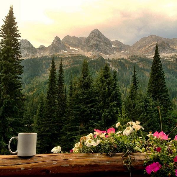 HelloBC's tweet image. Good morning from the Rockies! Photo: @IslandLakeLodge in Fernie, BC by @irie_tours #exploreBC