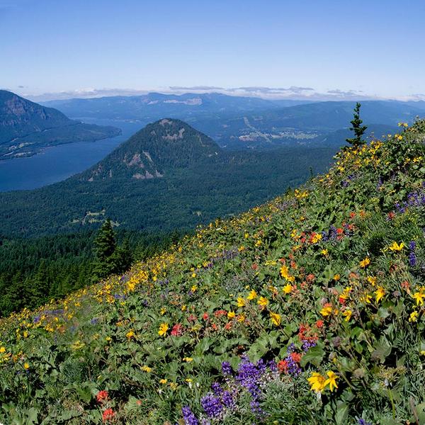 KellyGogoBean's tweet photo. Just a couple to go JB :)RT @TravlandLeisure: Inspiring vistas stretch across America: http://t.co/wIyRmq46lG http://t.co/uTt1SWqfb9
