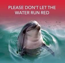 .<a href="/richardbranson/">Richard Branson</a> What becomes of the #taiji dolphins that don’t meet the grade? THIS!  Disgusted! #JPOlyBoycott