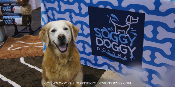 GoldenWoofs's tweet photo. Check out @soggydoggyllc shammy, doormats n beds #totalpetexpo booth418 #TPE2014 http://t.co/F6hWIhdDYr