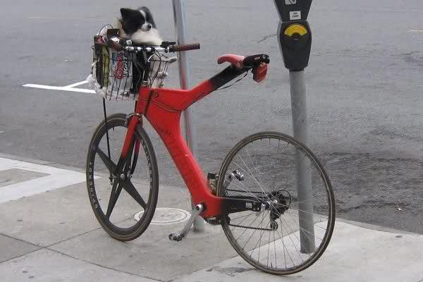 TheRaceRadio's tweet image. Craptastic!