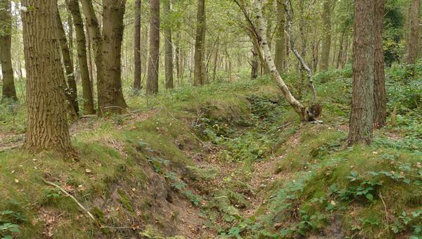 DagmarHeidinga's tweet image. Klein maar gevarieerd, het Uffelter Binnenveld. De Tweede Wereldoorlog heeft er sporen achtergelaten #loopgraven