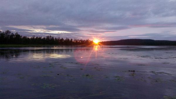 Alexandr tweet media