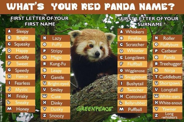 Color Code Of Red Panda Greenpeace UK on Twitter: "It's #InternationalRedPandaDay! What's your