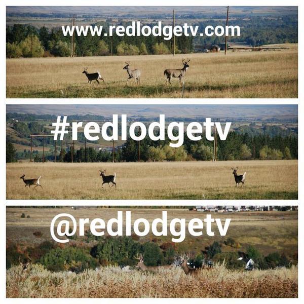 RedLodgeTV's tweet photo. Check out #redlodgetv to keep up on what is going on in RL. #redlodge #Montana #billings #codywyoming . http://t.co/HQvXLKJAKr