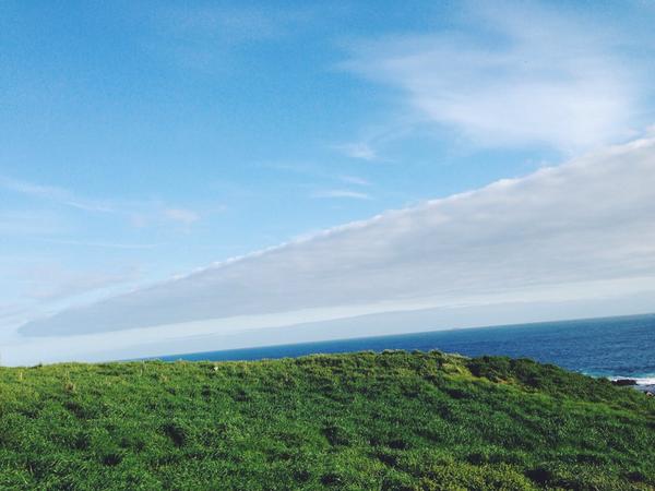 466495526's tweet photo. Philip island😂🌊☀️🐂🐨 http://t.co/uNMBy6K4hc