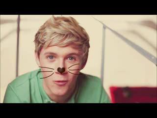 HAPPY BIRTHDAY NIALL HORAN 
I LOVE YOU
TE AMO ERES LO MEJOR QUE SE CRUZO EN MI VIDA 
YOU ARE THE BEST IRISH WURLDWIDE 