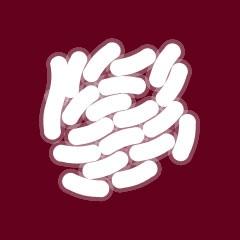 ca_hancock's tweet photo. My Bacteria "Benjeroci" wiped out the world in 648 days #PlagueInc @BasiaDiug #sphpm #bms2014 http://t.co/oxBL9RBnIc http://t.co/OmD55i8Jax