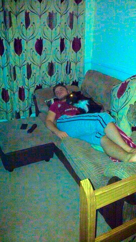 UnemployedFarm's tweet image. Completely crashed with the dog last night 🙈