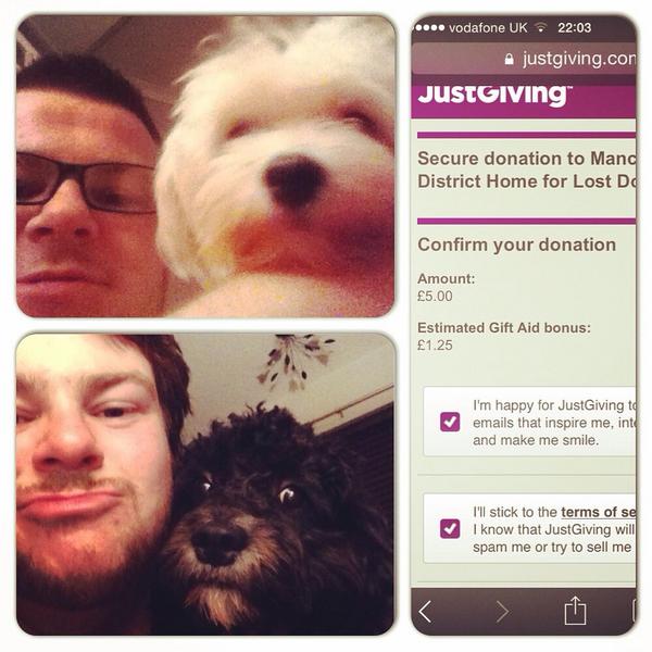 ANDYLPELLIS's tweet photo. People please post you #DogSelfie to http://t.co/aWrJwoGmmy to raise money for @manchdogs http://t.co/Ft8Zw2NOJo