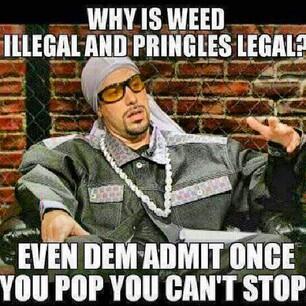 AGradeHydro's tweet photo. #hydroponics #StonerNation #StonerBabes #weedsmokers #growyourown #StonerProblems #spliffstarr #The90sAreAllThat #lol http://t.co/65oefeiAoq