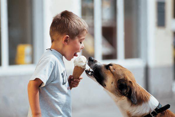 GogaPetrov's tweet photo. #Rufollowback, #followback, #listingback http://t.co/WTRYStoSvr