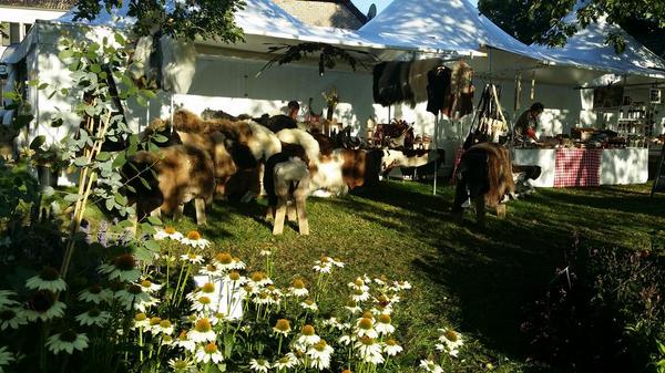 Herfstfair2014's tweet photo. RT @Pakhuis45 http://t.co/xT88GzHCcX volop in bedrijf @Herfstfair2014 Super weer &amp; top locatie!Vandaag nog #ziejedaar http://t.co/iwmULq3KaK