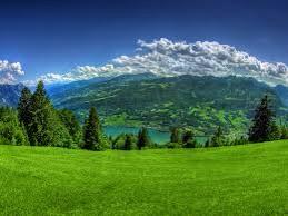 心の洗われる画像 Kokoro Araware Twitter