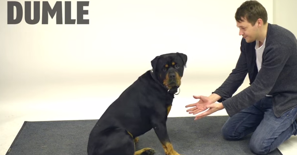 Anna (@Anna_Lessard) | Twitter