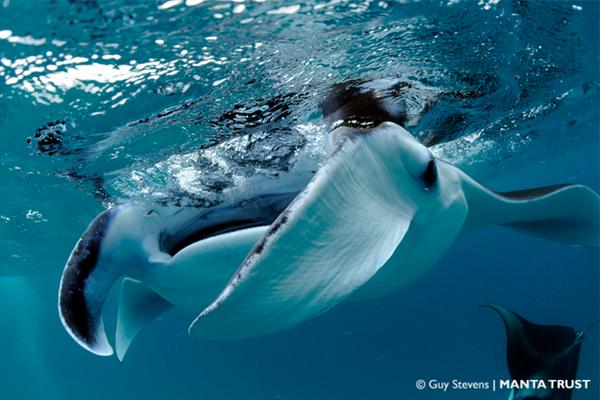 DiveMagazine tweet picture