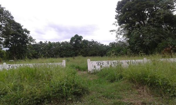 tvnnoticias's tweet photo. Reporta @isaacjose76: Cementerio de Finca Blanco, Puerto Armuelles en total Abandono @Chiriqui @tvnnoticias http://t.co/hpRu8R7rO5